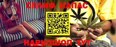 стаф Бузулук