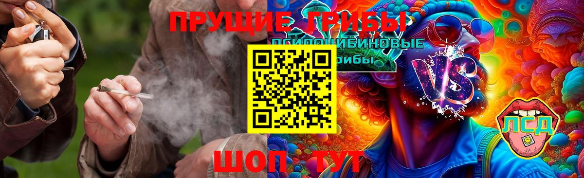 Галлюциногенные грибы прущие грибы  Вход с VPN  Уссурийск 